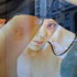 Paris_window_resize