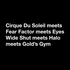 Mashup_015_working_cirque_du_soleil