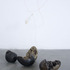 Ct_cosmicnest-eggs_9629