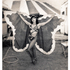 New_bfly-circus