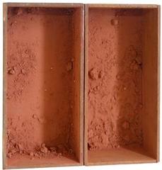 Earth Diptych,Michelle Stuart