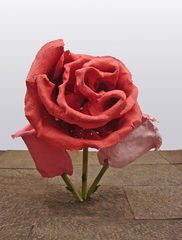 Untitled (Rose 31),Will Ryman