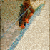Dsc_0017_final