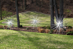 Windseeds4