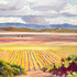 Carneros_vista