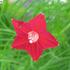 Wuxinghua__6_