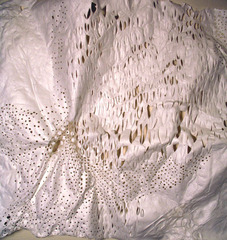 Fossil Frequency (detail),Ula Einstein