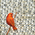 Temporarysanity_print_