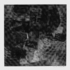 Surface__f