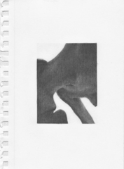 ,Iulia Toacaci