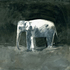 Fvallejo_elephant