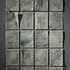 Newell_palimpsestii