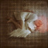 Joachim_with_wings