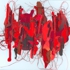 Redbarkpeel_9