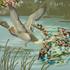 Park_duckduck_e