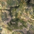 3a