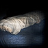 04_cytoplasm_of_the_bed