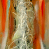 Oueen_of_sinergy_inset
