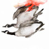 Glasson_j_03