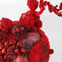 Redblossomingbiotope2