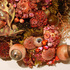 Amygross_optomisticbiotopedetail2