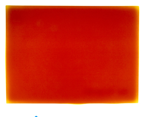 1% of this is from the Big Bang: TV Static Photogram 1,Aspen Mays