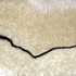 Dscn1887