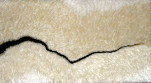 Dscn1887