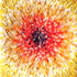 Dscn3807
