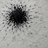 Dscn1892