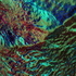 Waterbark___3
