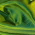 Green_critter