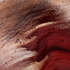 Pink_shadow