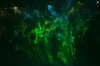 00220100202