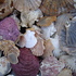 Shell2