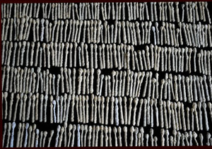 20101202193111-g_lineup_15x20_mounted_plexi