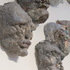 Detail_raw_me