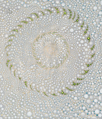 White Out III,Barbara Takenaga