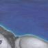 Whale_on_the_blue