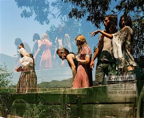 Untitled,Amanda Milius