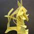 Yellow-maquette-32