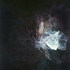 2-_cutting_objects__2009__acrylic_on_canvas_250_x_190_cm