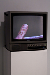 Earth,Emilie Halpern