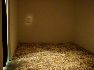 Iraqi Body Count,Azadeh Tajpour