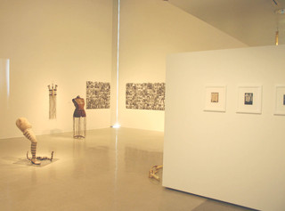 ,Pitzer College, Veronica installation view, Nichols Gallery