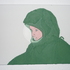 The_experimenter