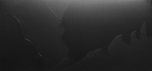 Gleason_shadows_phantom