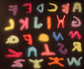 Reverse Alphabet,Tala Madani