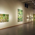 Installation_view_4
