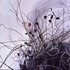Dead_grass__winter_07